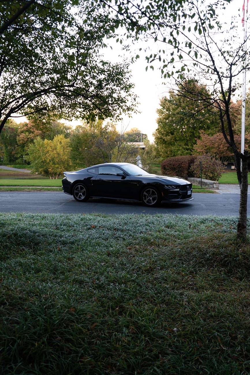 S650 Mustang Official DARK MATTER GRAY Mustang S650 Thread 774A3CE0-EA47-4F4B-B215-C72C9FC9BF60