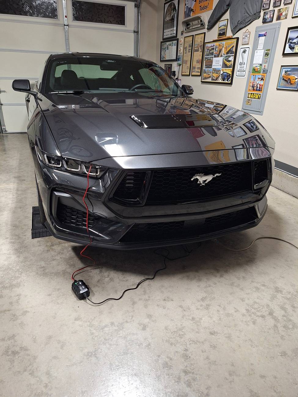 S650 Mustang Do all the S650s have this gap in the front on the hood? 20240930_224457