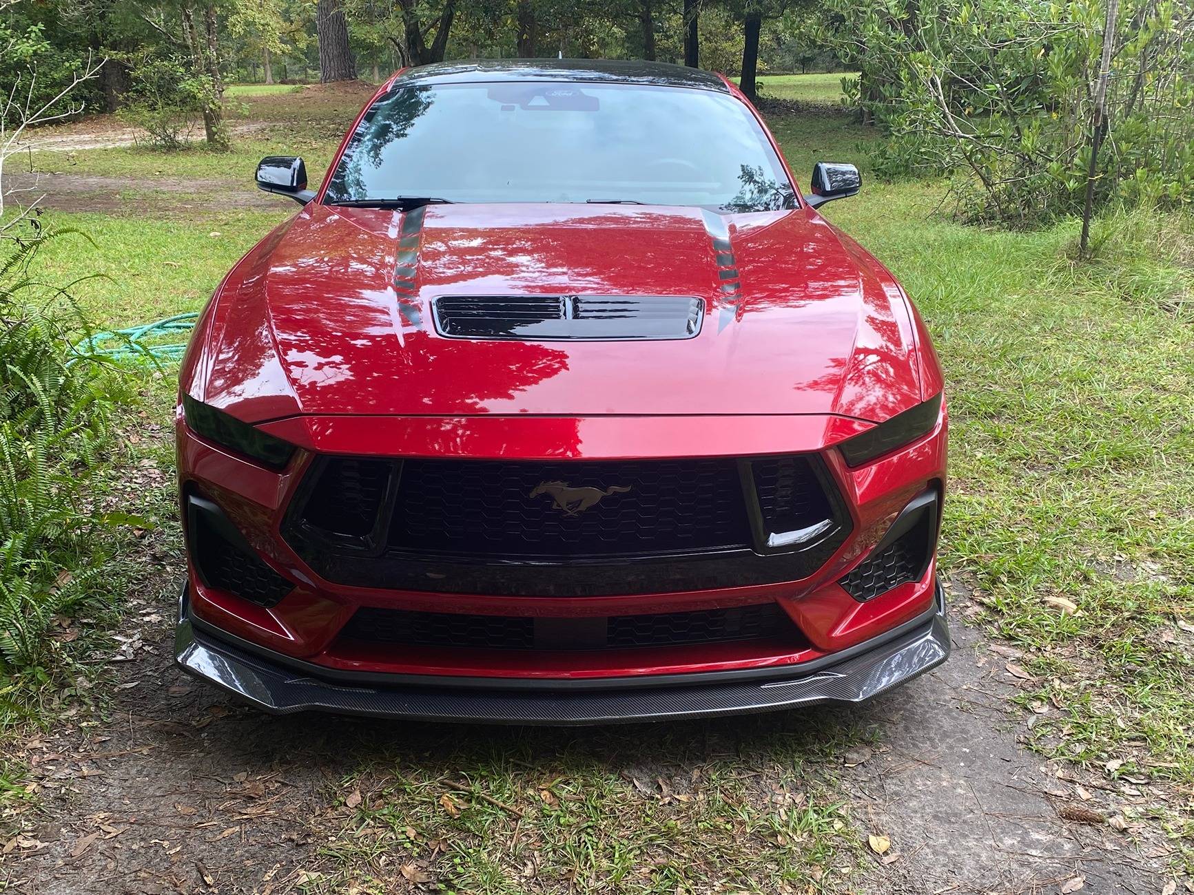 S650 Mustang What is the best way to get Nite Pony style headlights? IMG_1271