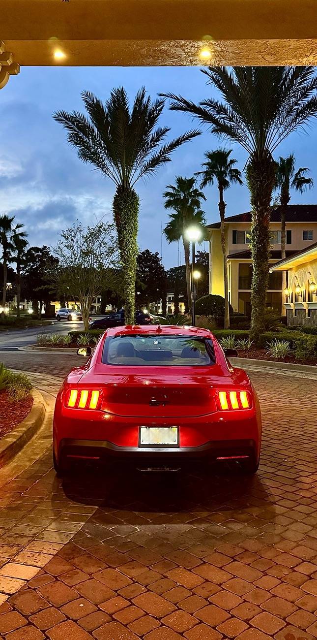 S650 Mustang Nice Rear End (Picture Thread) IMG_2546