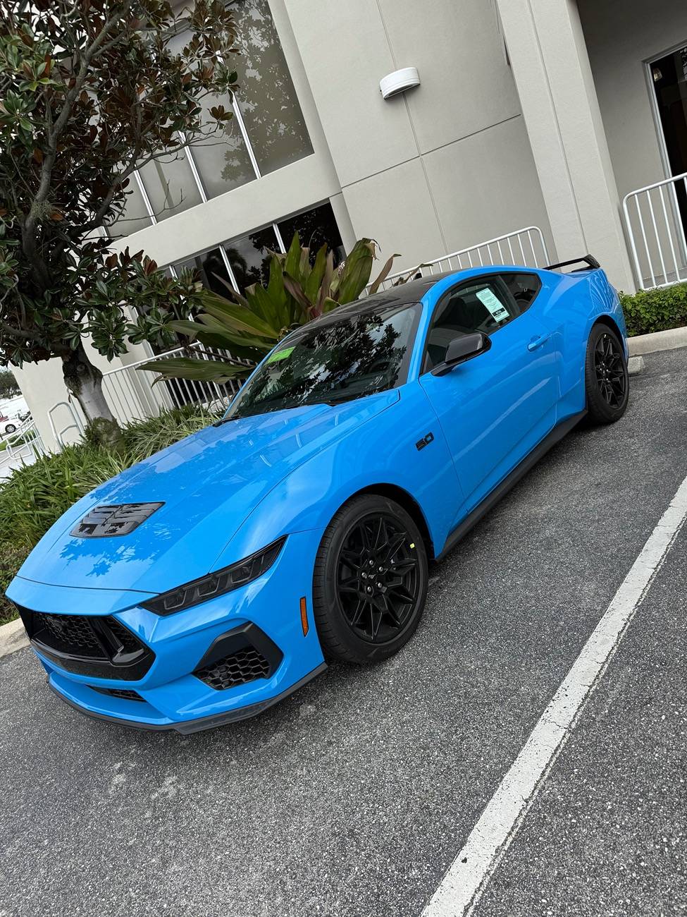 S650 Mustang Official GRABBER BLUE Mustang S650 Thread IMG_0255