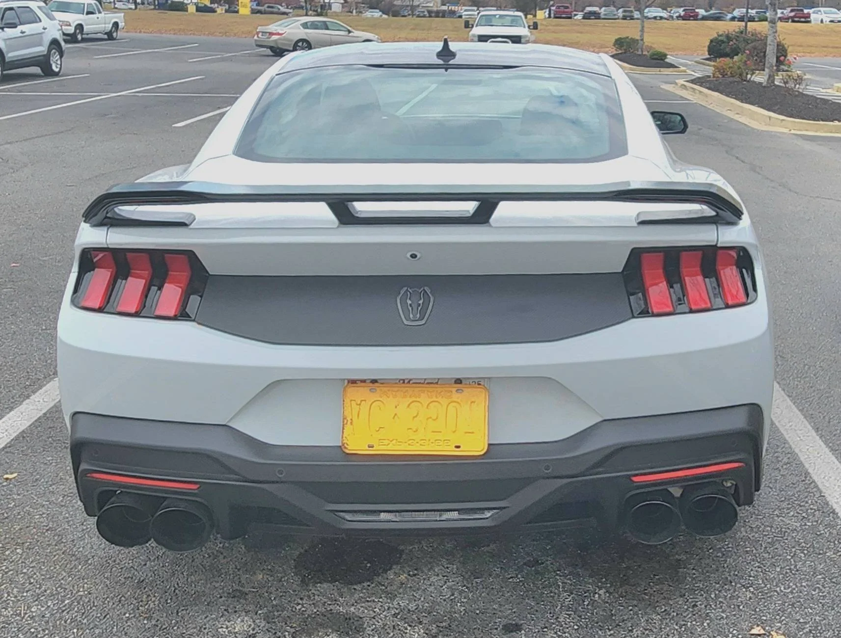 S650 Mustang Nice Rear End (Picture Thread) 20241107_112305