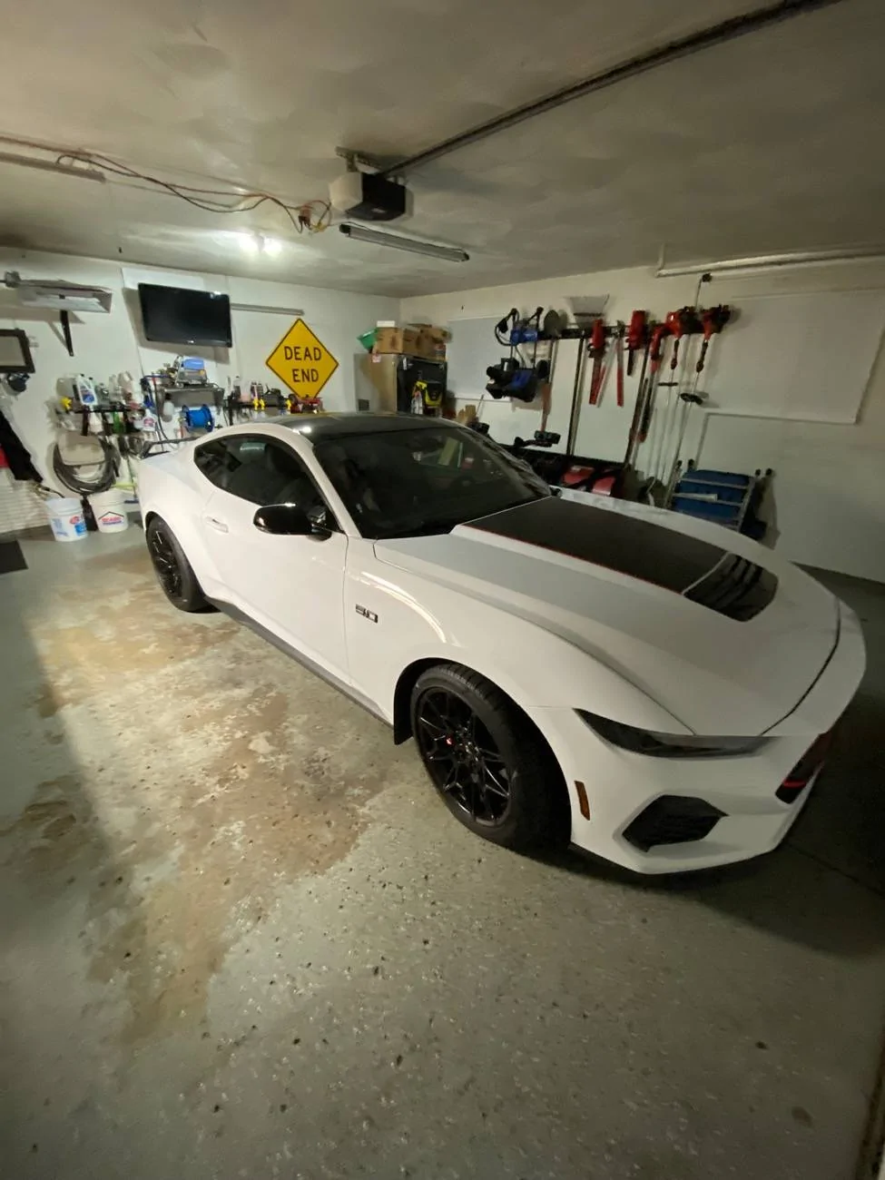 S650 Mustang Nice Rear End (Picture Thread) IMG_9566