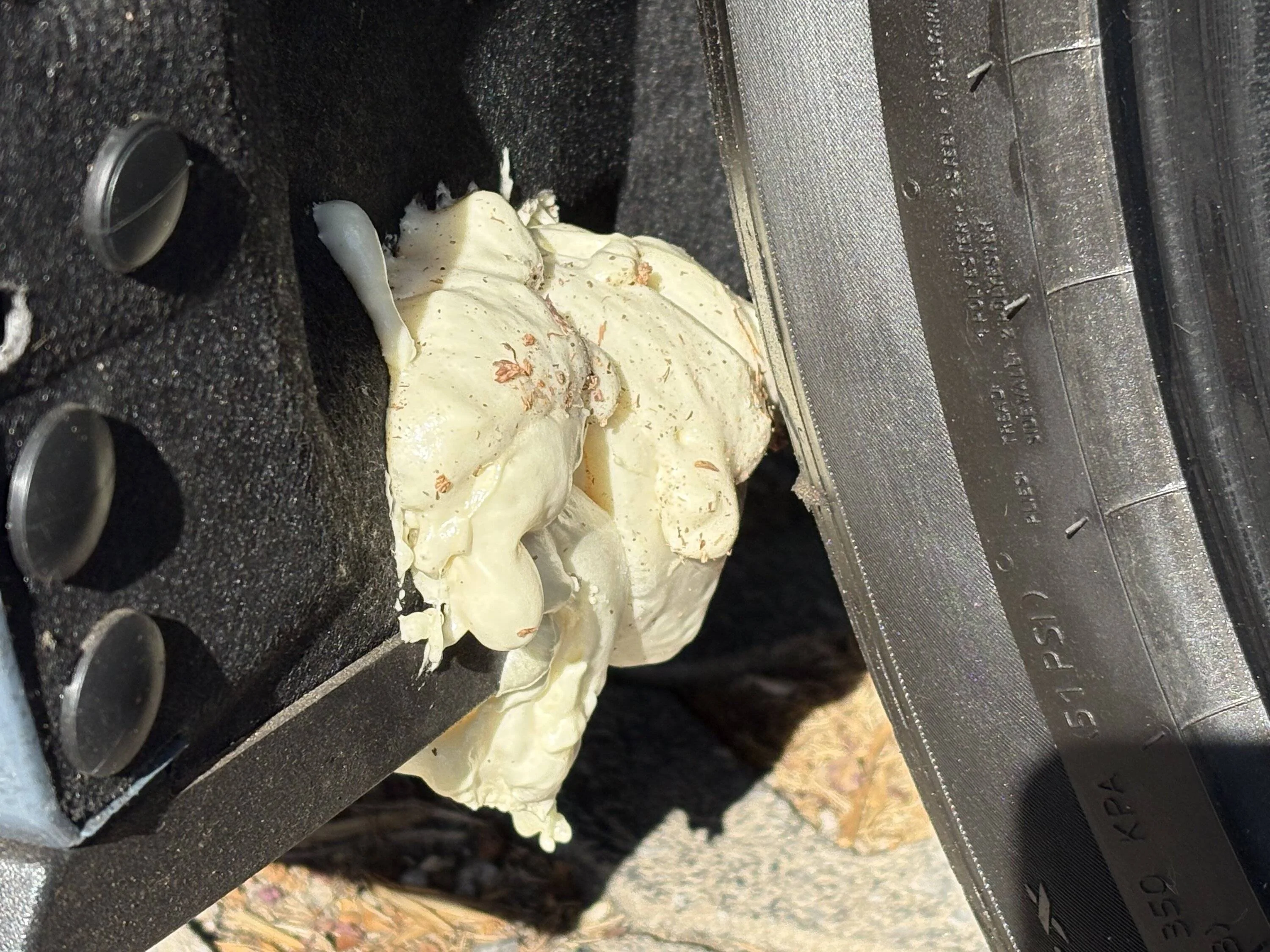 S650 Mustang Cheap temporary inner fender hole solution IMG_6449