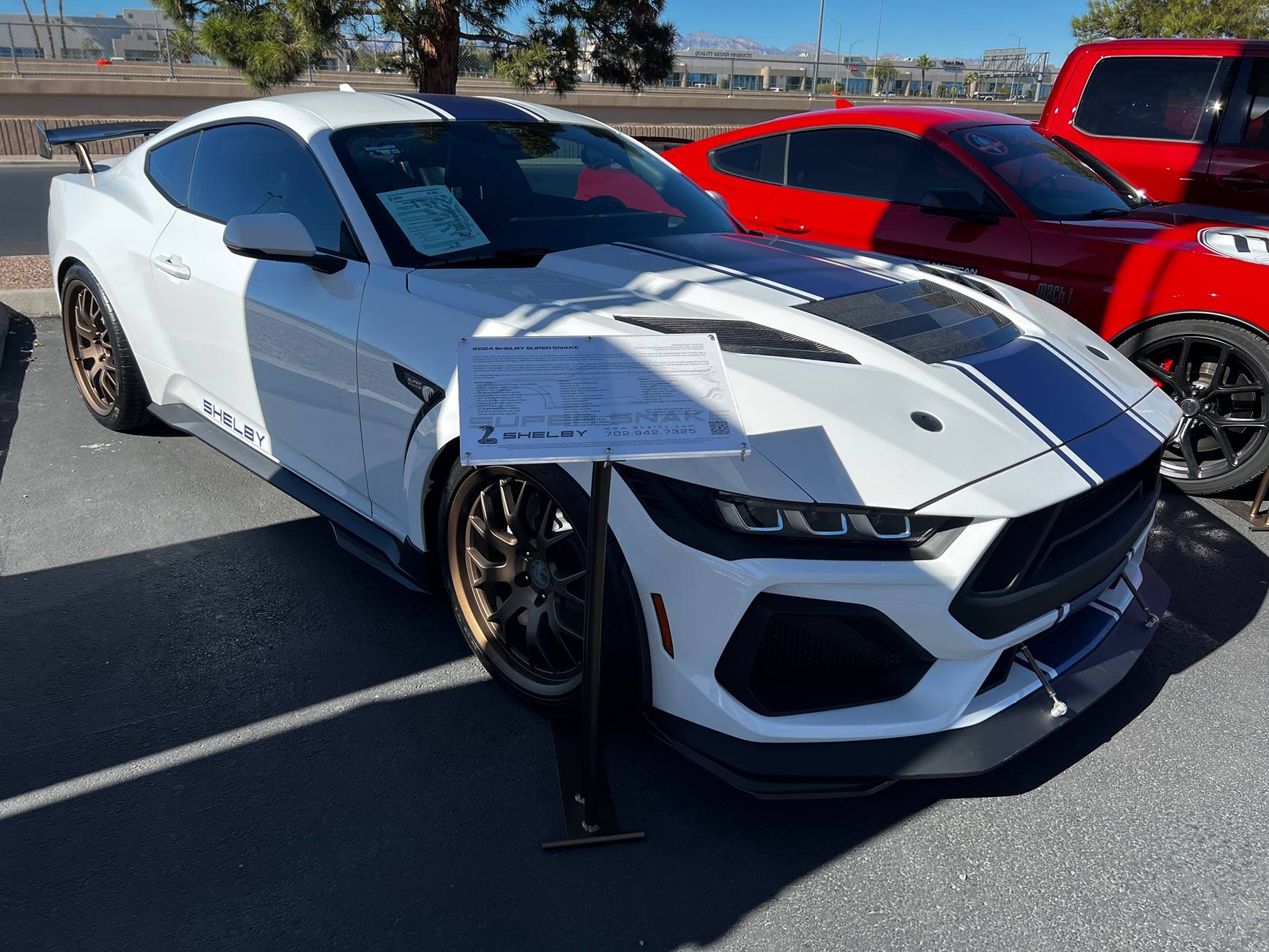S650 Mustang Shelby pics IMG_4376