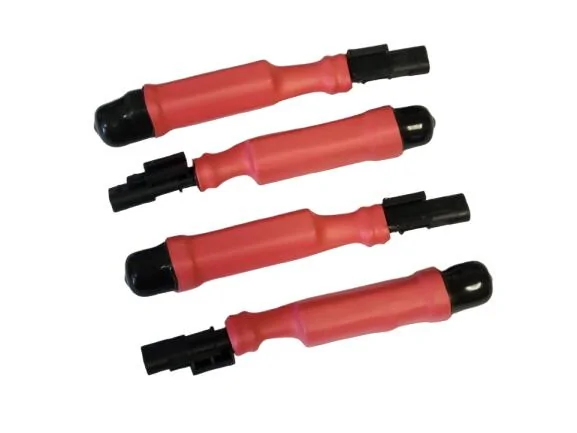 MAGRIDE.webp