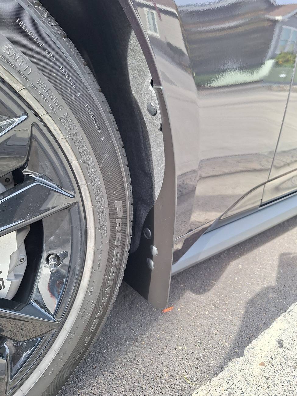 S650 Mustang Mud Flaps? 20241011_151251