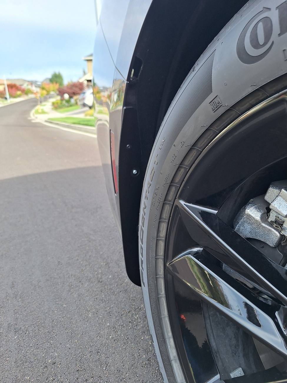 S650 Mustang Mud Flaps? 20241011_151449