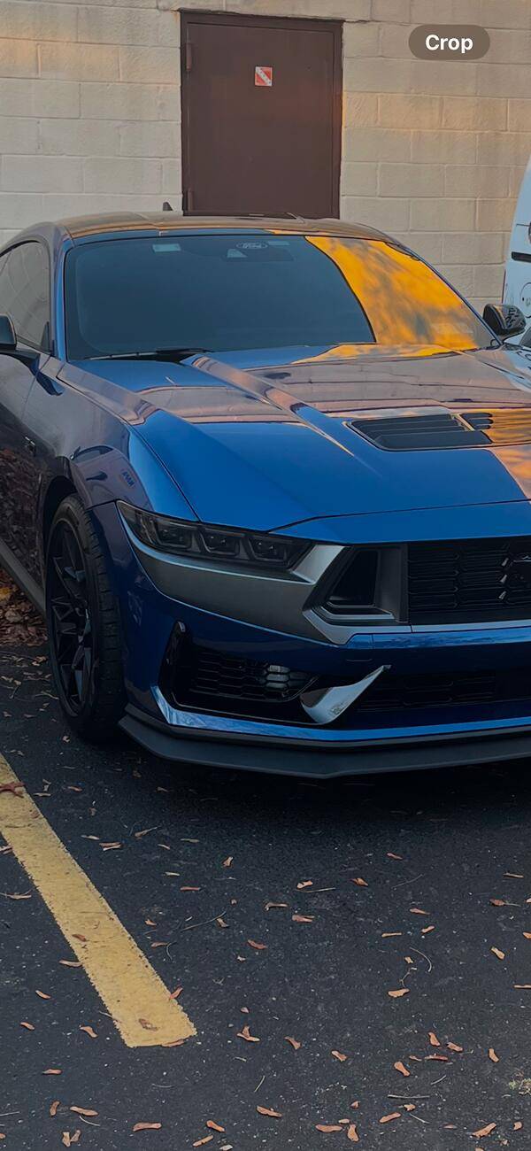 S650 Mustang 24 S650 Closed Lower Grille Removal IMG_1130