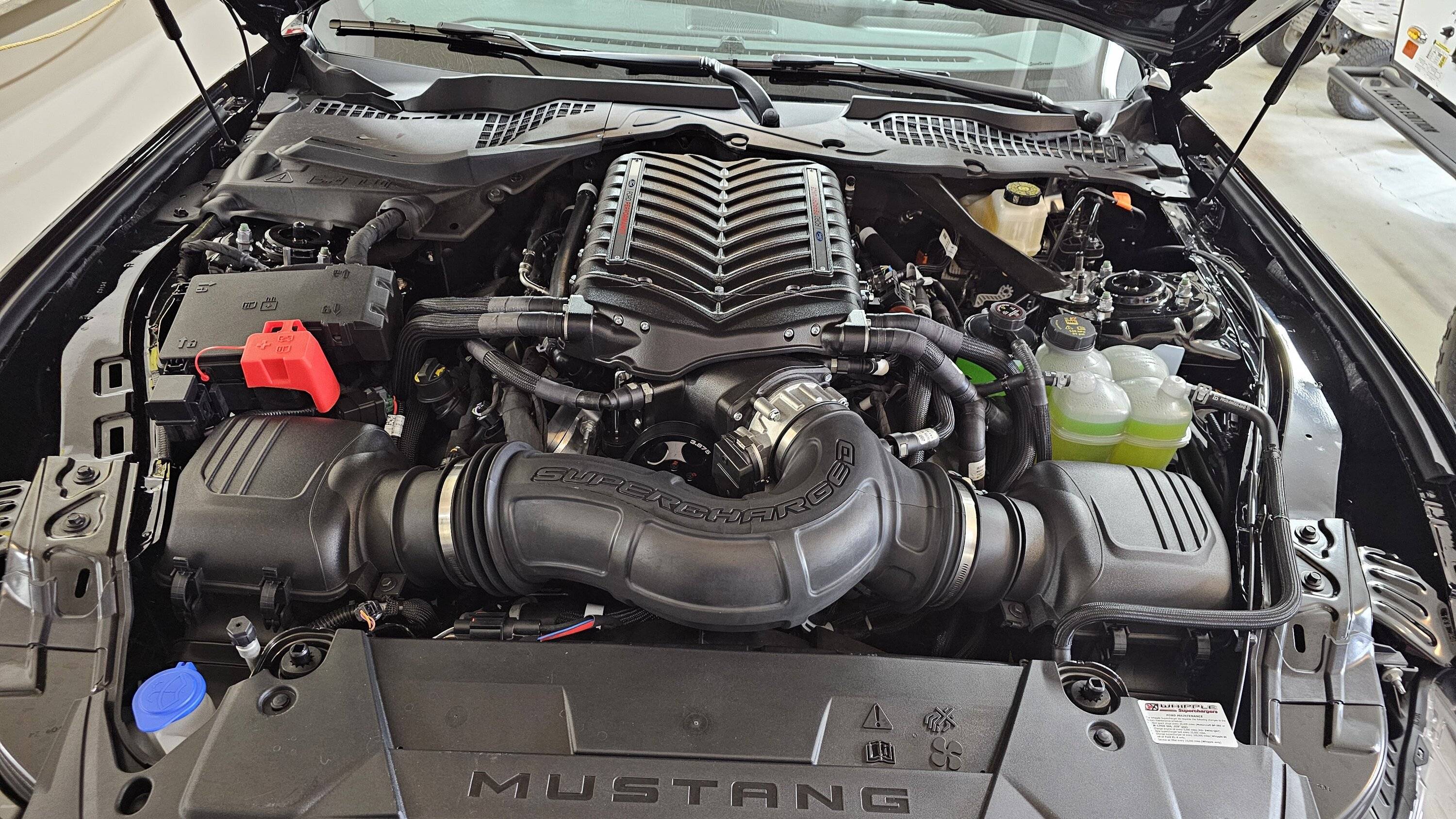 S650 Mustang Three weeks after purchase with 170 miles on the odometer, She is Supercharged! 2024GT009