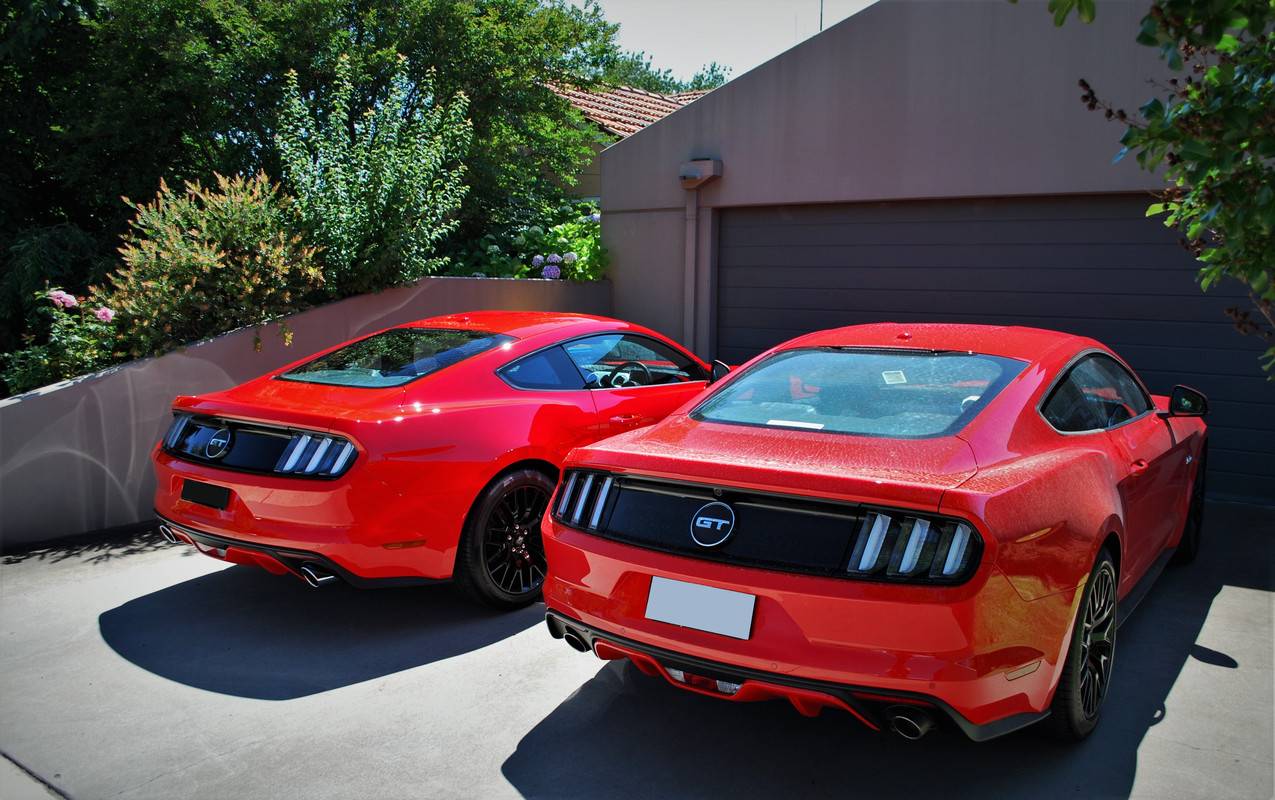 S650 Mustang This Just Got Real! aq1