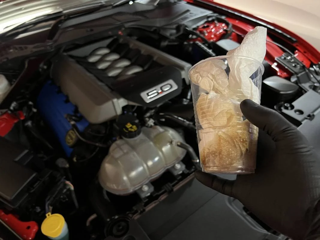 S650 Mustang Oil Air Separator Install img_2970-jpg