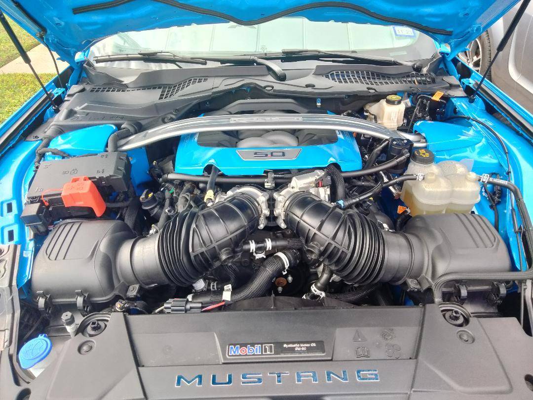 S650 Mustang Car Show Display 1731777120676-rr