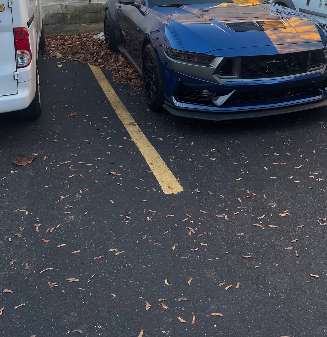 S650 Mustang Dark Horse Headlight Trim IMG_1126