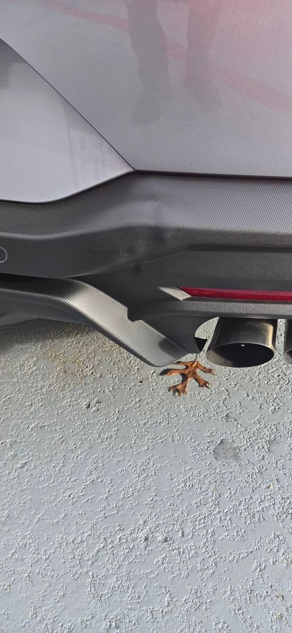 S650 Mustang Does this rear bumper warp look fixable? image000001