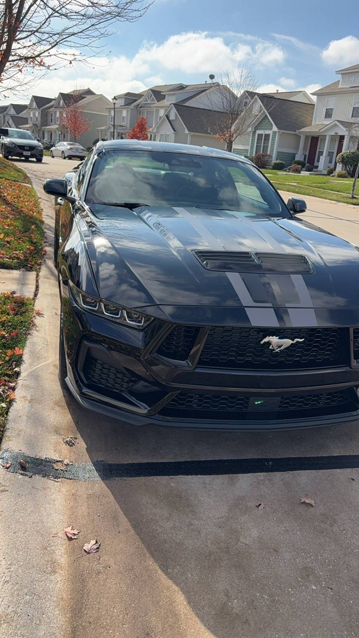 S650 Mustang Official SHADOW BLACK Mustang S650 Thread IMG_8040