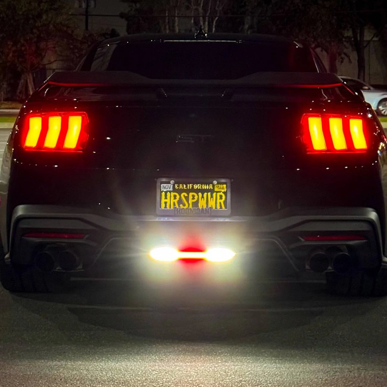S650 Mustang Form Lighting Newest Lineup for 2024+ Mustang! 31593826-E694-4131-A910-0248AD34B89B