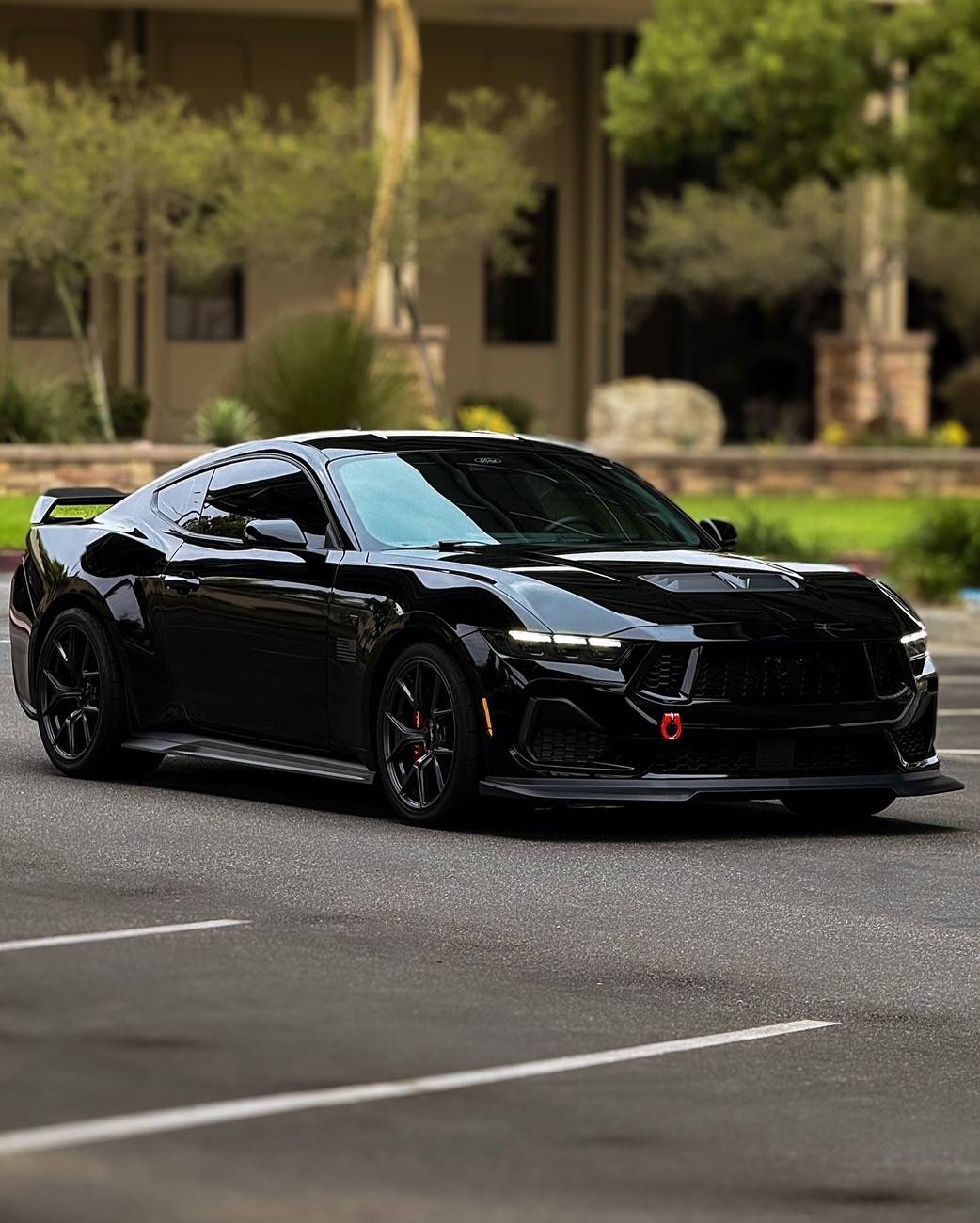 S650 Mustang Official SHADOW BLACK Mustang S650 Thread 3D30B246-6C48-49CE-A9F2-DDFFA8AAA4B1