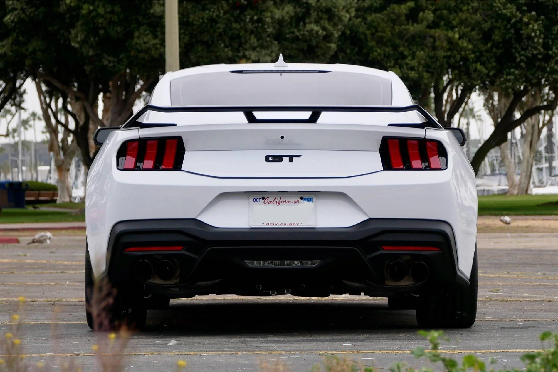 S650 Mustang Nice Rear End (Picture Thread) IMG_9428