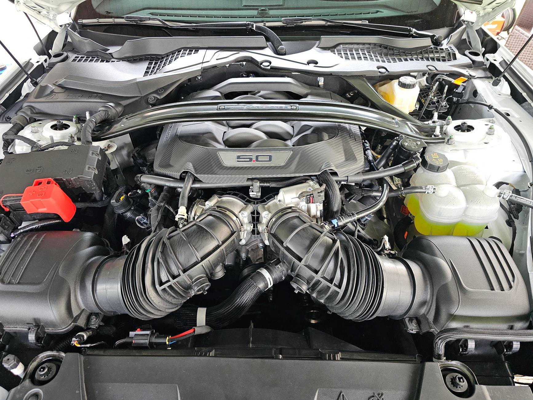 S650 Mustang List of EU forum orders 20240616_110110