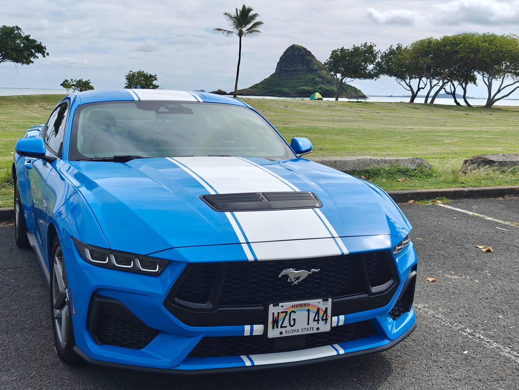 S650 Mustang Added a center stripe! IMG20241122112628