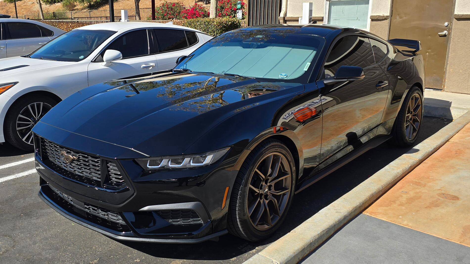 S650 Mustang Viking's Black EcoBeast Build Mustang_Grille1