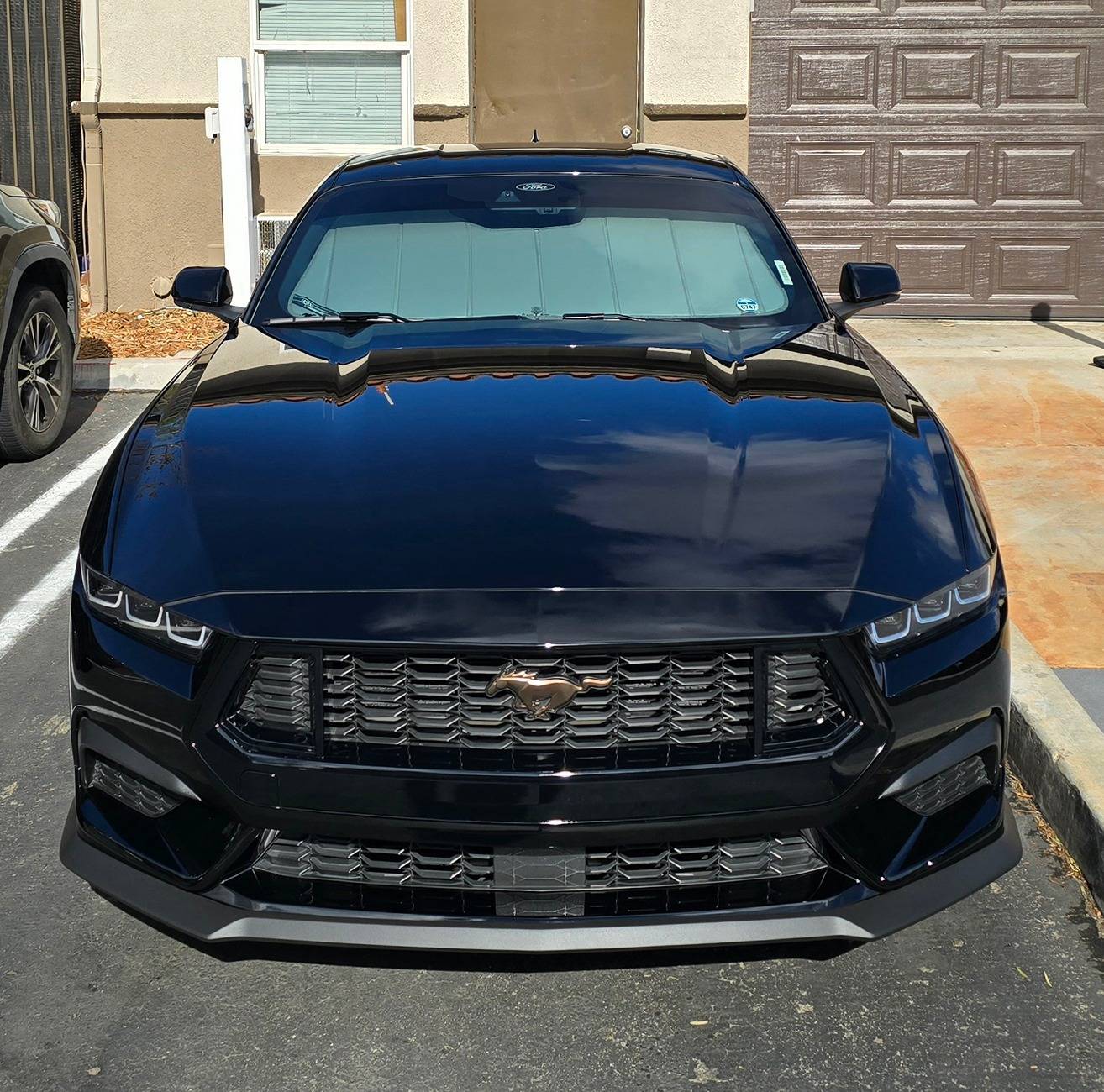 S650 Mustang Viking's Black EcoBeast Build 20241124_112832