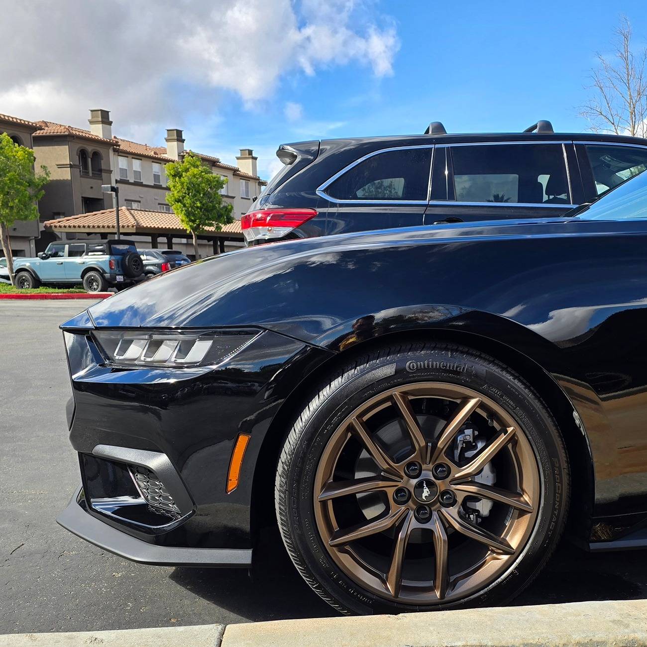 S650 Mustang Viking's Black EcoBeast Build 20241124_111525