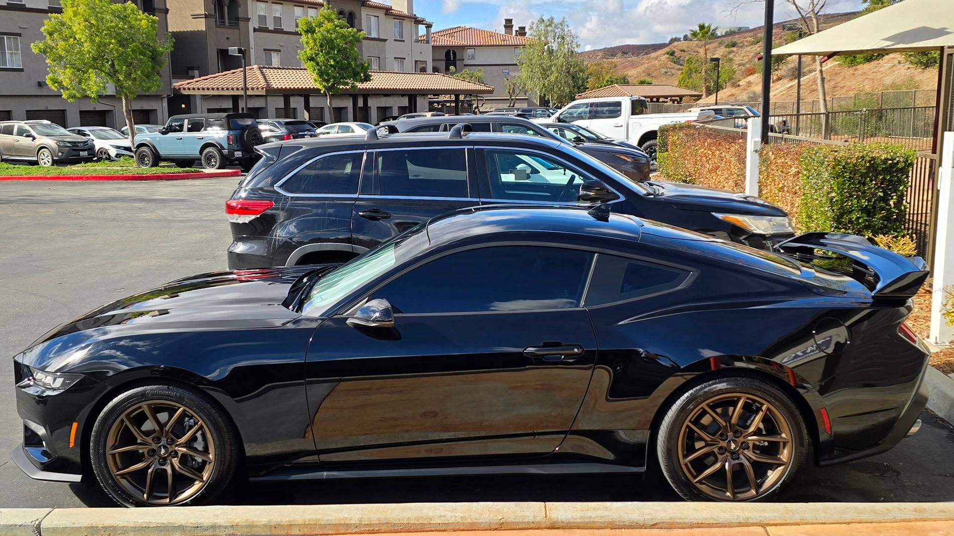 S650 Mustang Viking's Black EcoBeast Build 20241124_111425