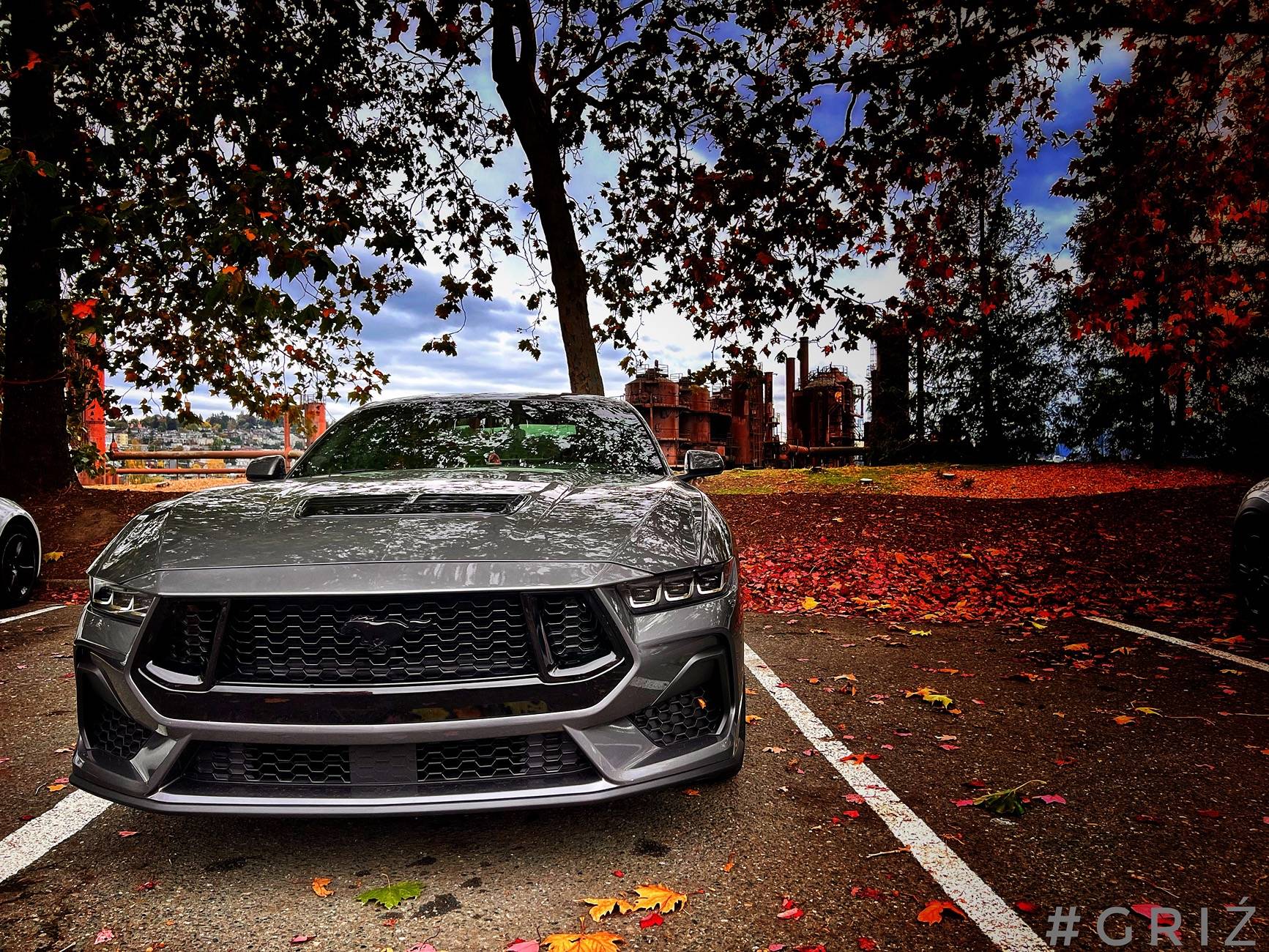 S650 Mustang GT Mods IMG_5593