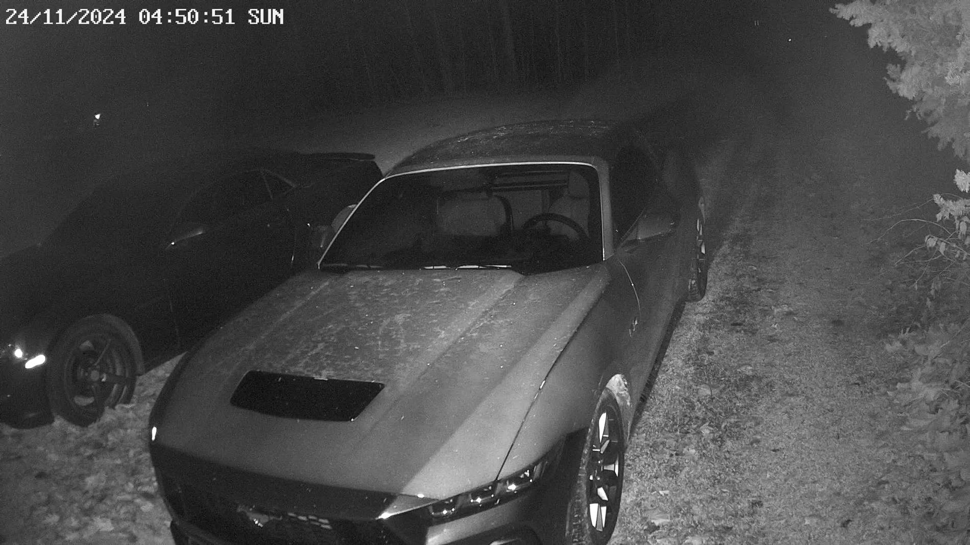 S650 Mustang 2024 Mustangs have IR reflective coatings?! 20_2214495_300