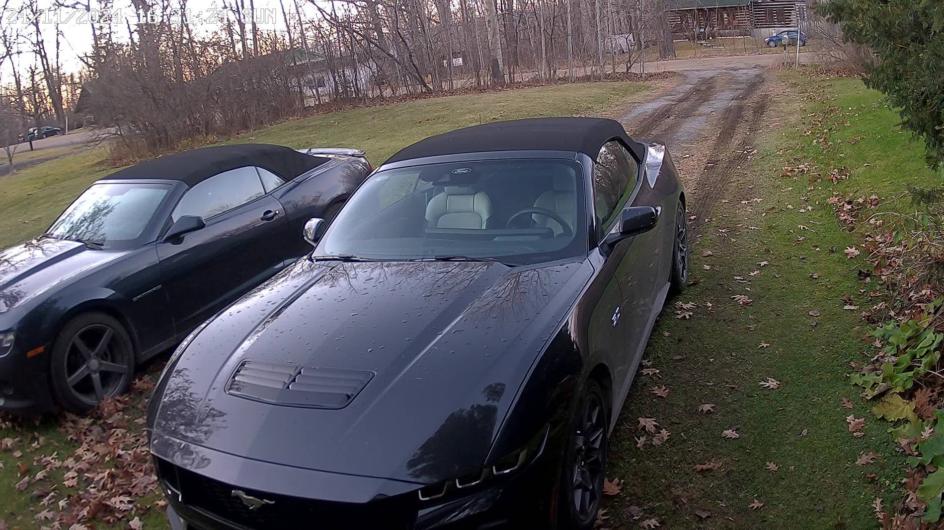 S650 Mustang 2024 Mustangs have IR reflective coatings?! 20_2215137_500