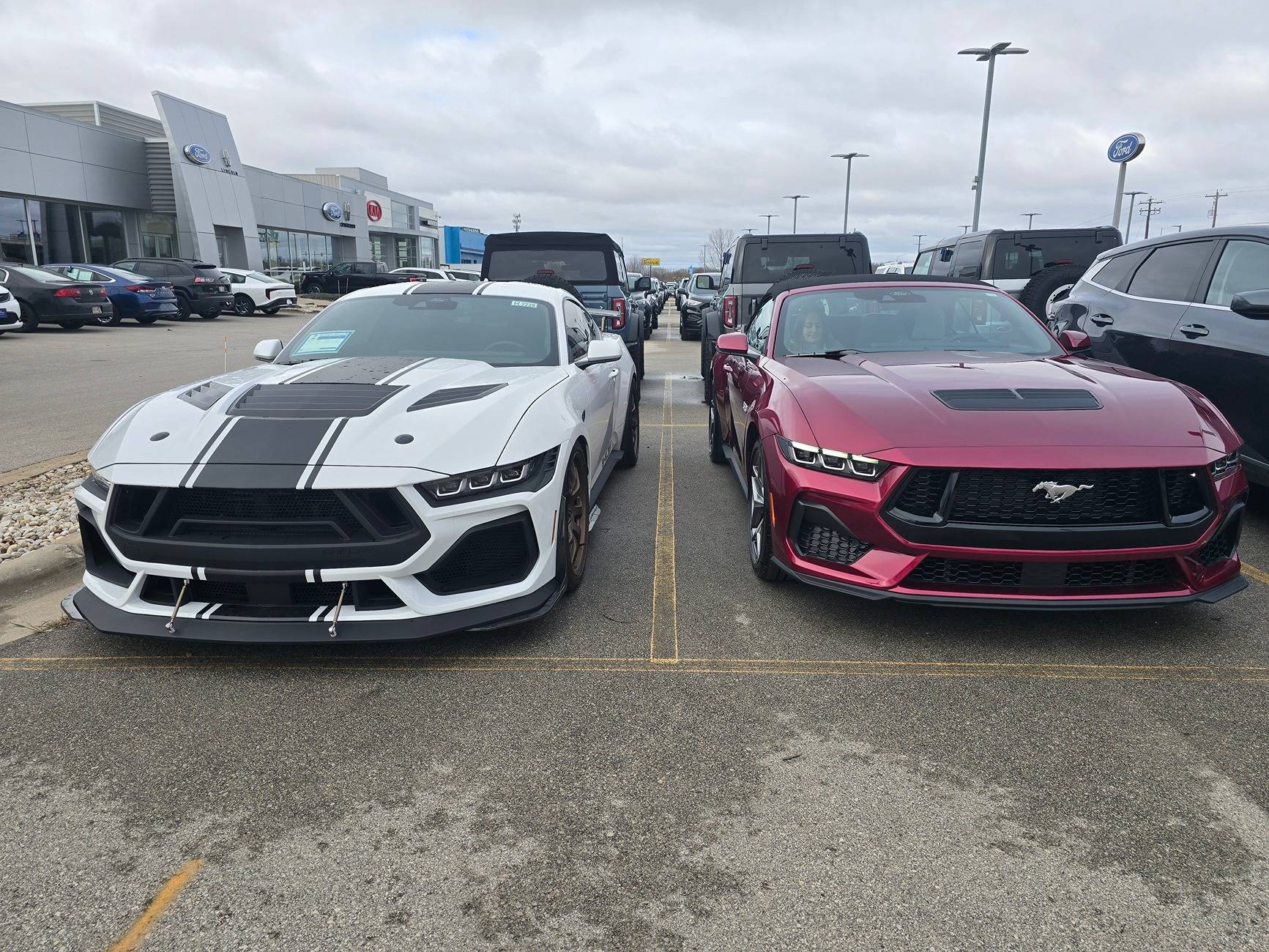 S650 Mustang Molten Magenta Metallic S650 Mustang DELIVERED! 20241122_104813