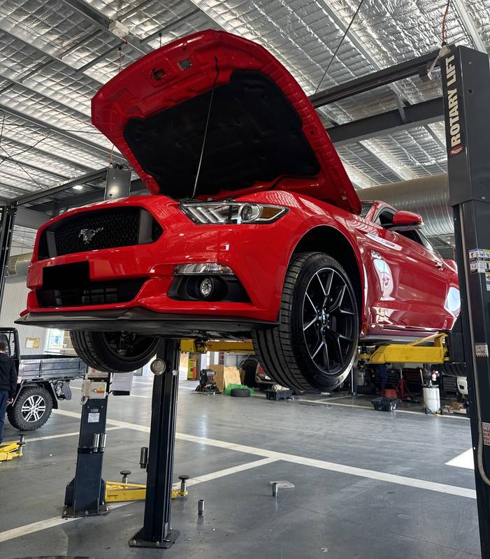 S650 Mustang Aussie S650 Breaking-in 1600kms ser241