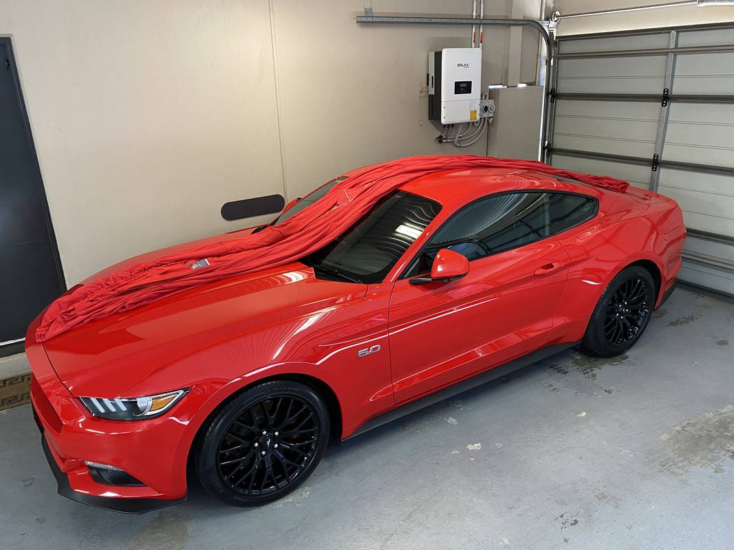 S650 Mustang Aussie S650 Paint protection and detailing thread IMG_8466
