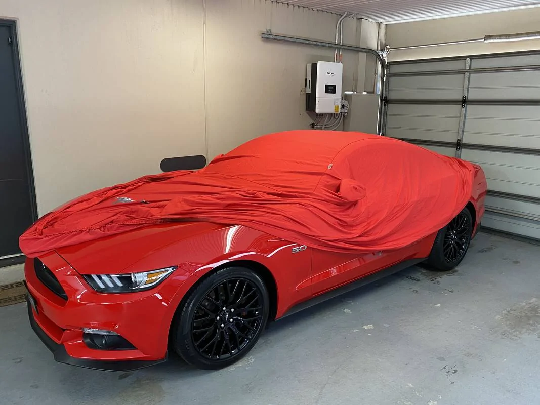 S650 Mustang Aussie S650 Paint protection and detailing thread IMG_8471