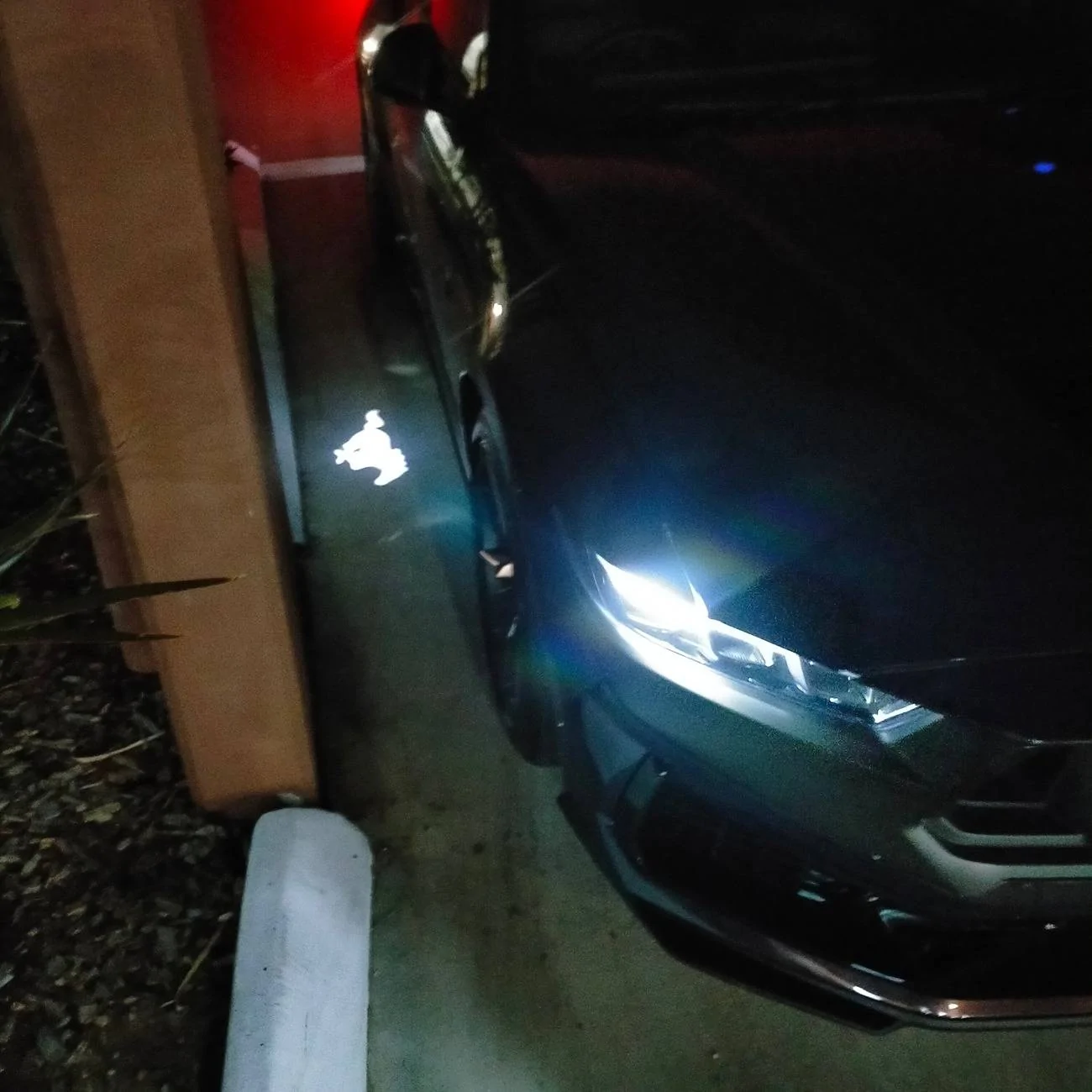 S650 Mustang My Mustang Journey IMG20241003043859