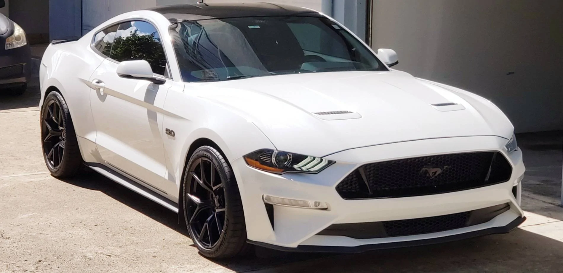 S650 Mustang Introductions & Welcome Thread 👋 20210929_145624