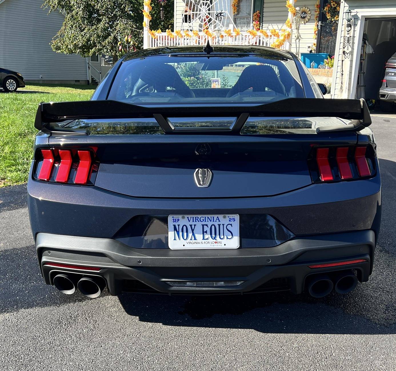 S650 Mustang PLATE NAMES FOR DARK HORSE EDITION IMG_3441.JPG