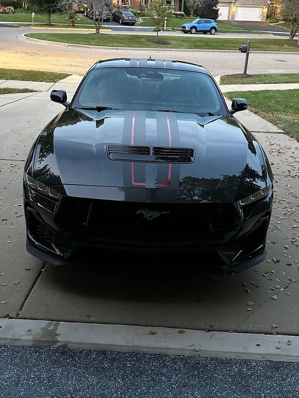 S650 Mustang 300+ USD for 3 emblems? Are they nuts? IMG_1436