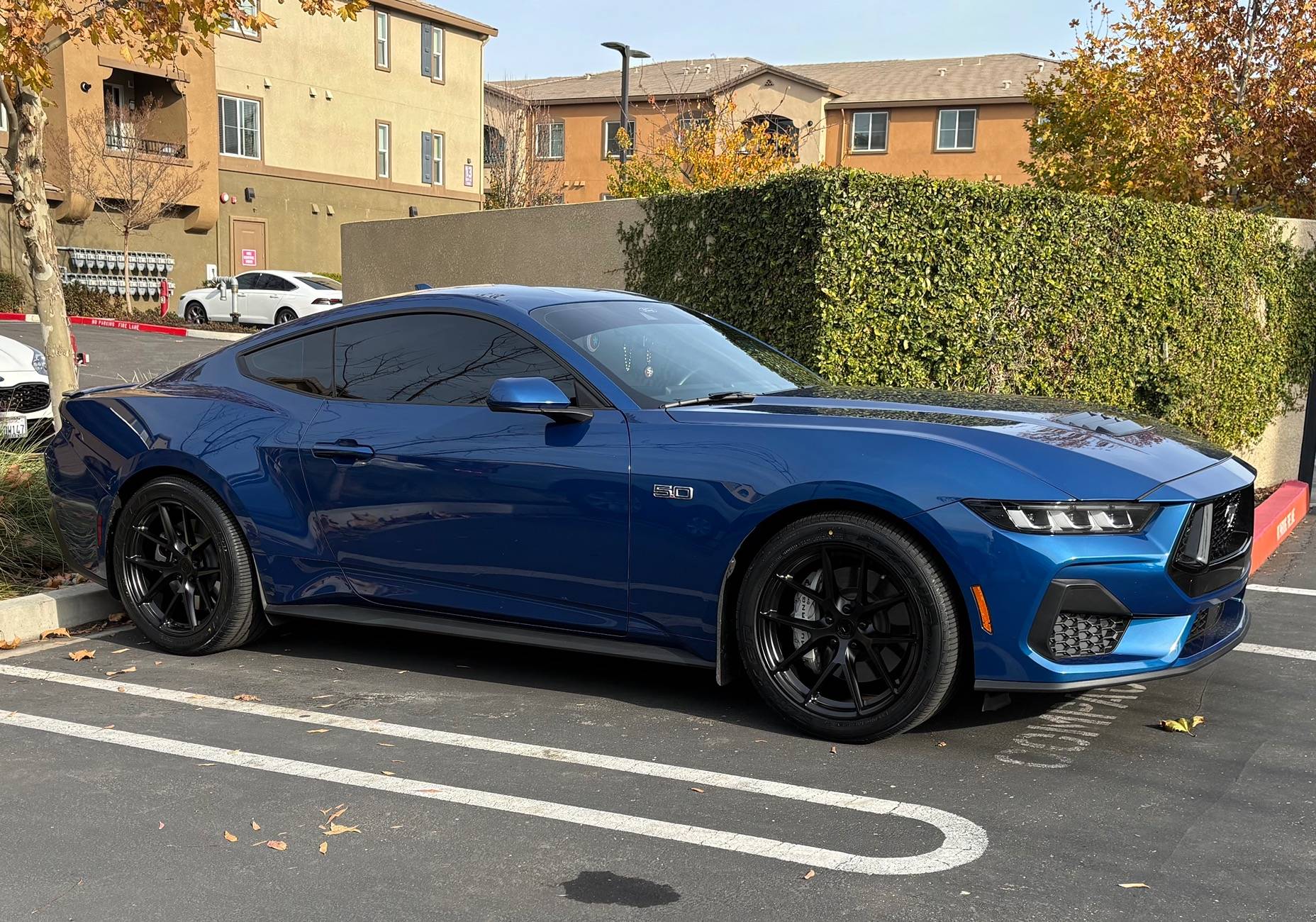 S650 Mustang Official ATLAS BLUE Mustang S650 Thread IMG_1949