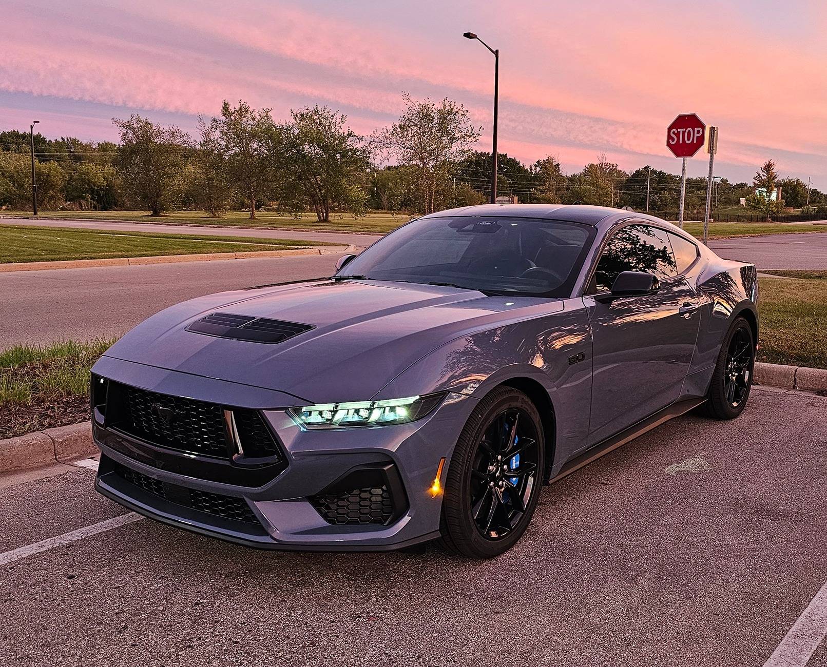 S650 Mustang Share your Fav S650 shot 1000020487