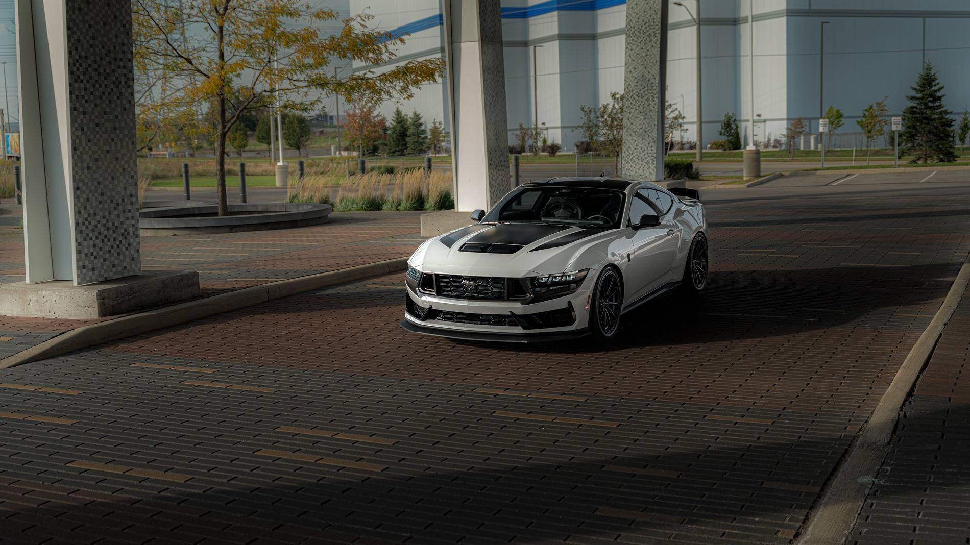 S650 Mustang Share your Fav S650 shot 1734094180592-eh