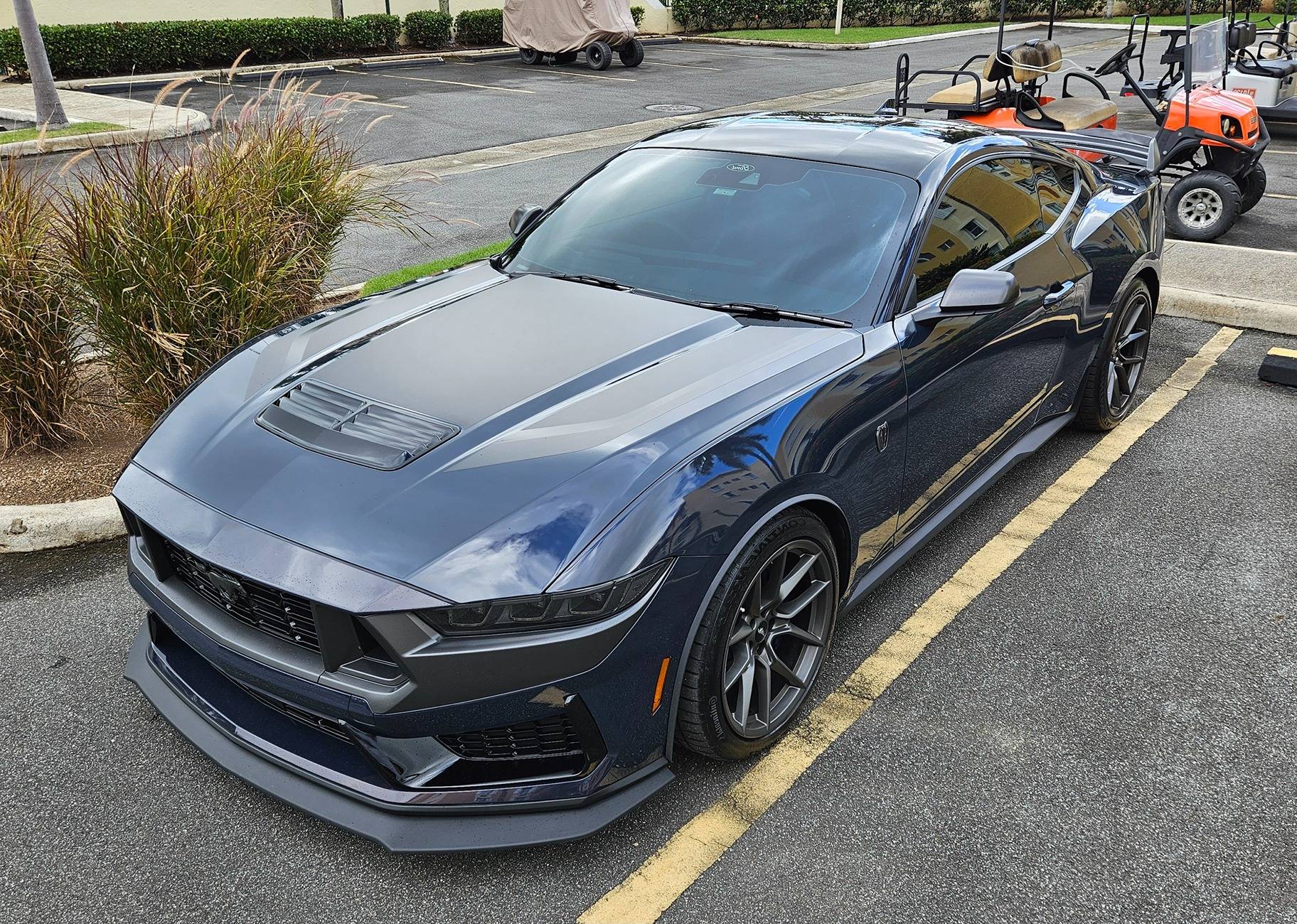 S650 Mustang Official BLUE EMBER Mustang S650 Thread 20241215_100946