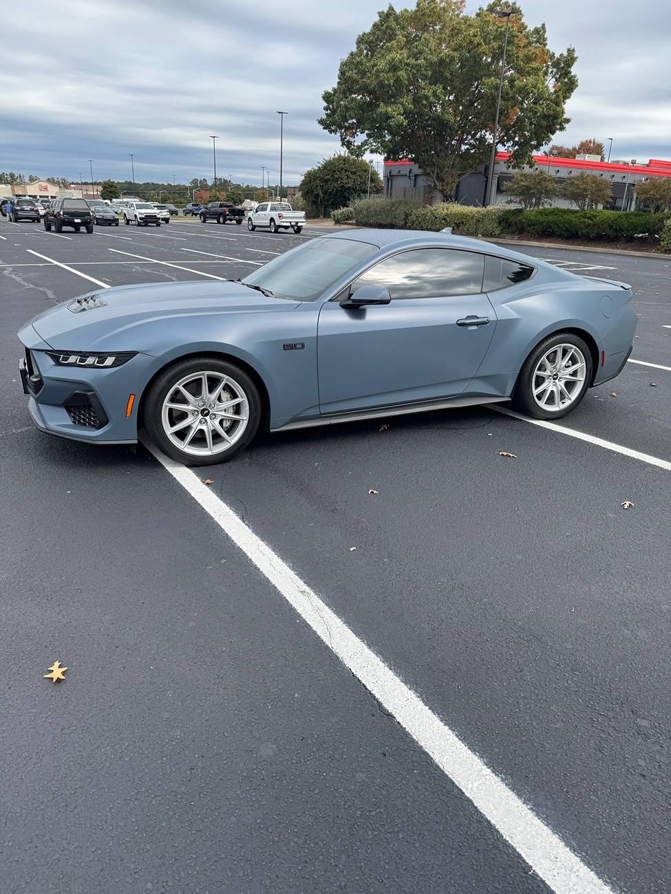 S650 Mustang Protective film covering (PPF) pros / cons? IMG_1267