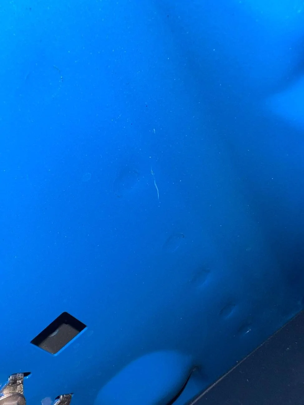 S650 Mustang Brand New 7th Gen Marring Inside Hood IMG_6283
