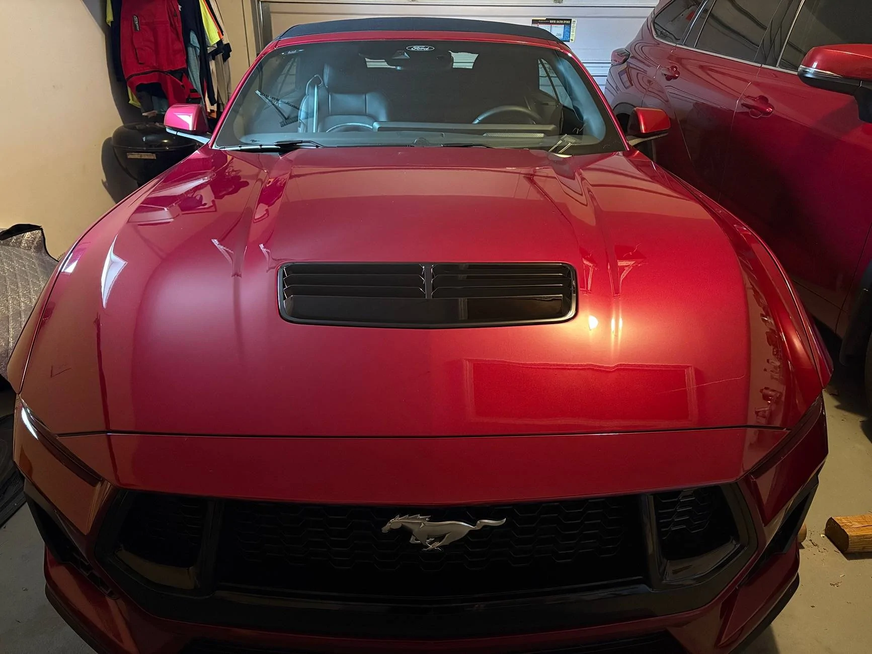 S650 Mustang Any Molten Magenta cars spotted yet? IMG_8142