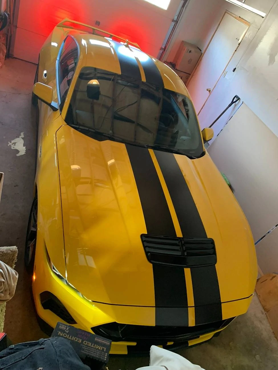 S650 Mustang Yellow Splash Metallic ? IMG_1764