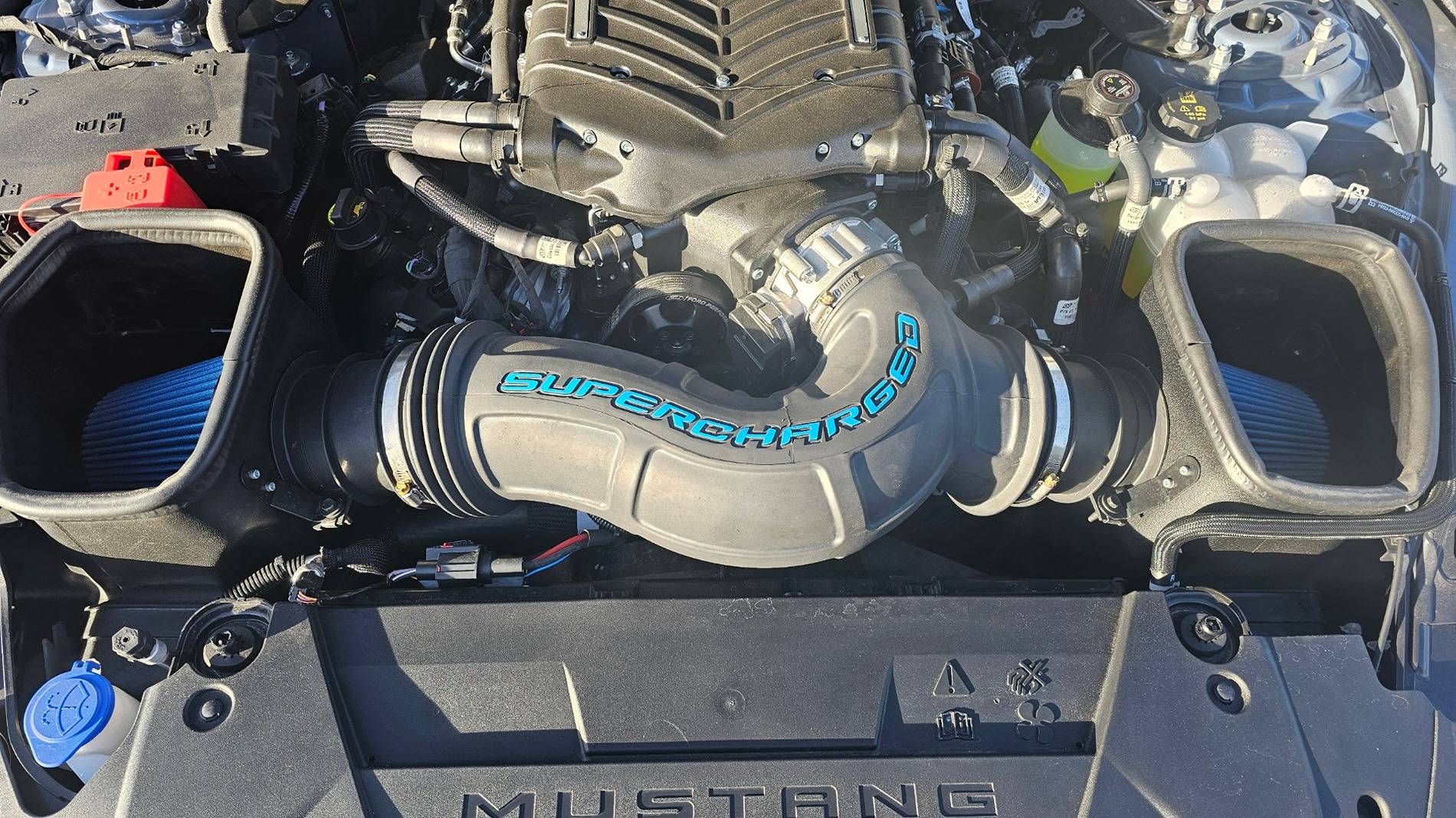 S650 Mustang Supercharged Decal? 20241219_152016_1734646841625.jpe