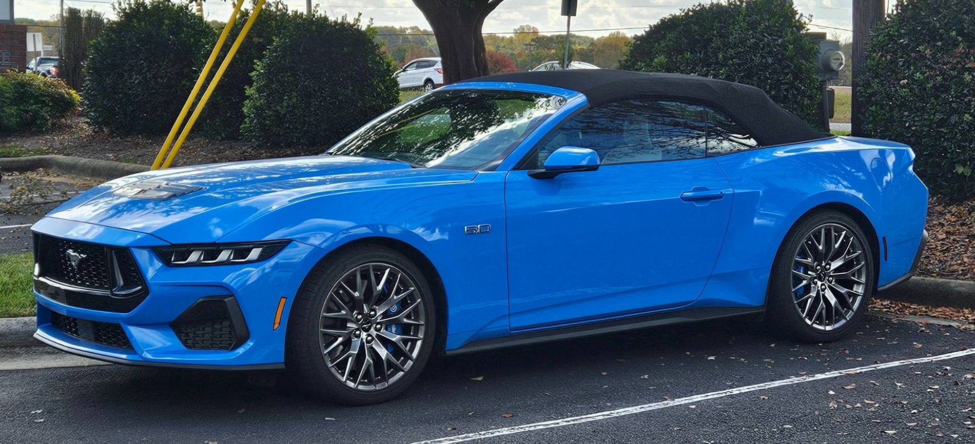 S650 Mustang Free Christmas Giveaway by Screen Protech Side_at_Store